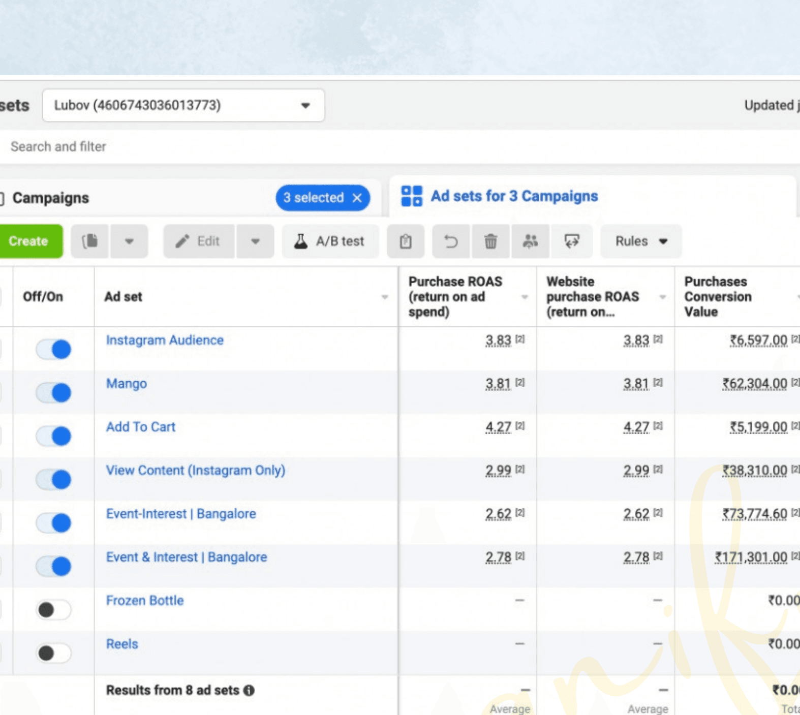 Performance Marketing Performance Summary: Platform breakdown and ROAS metrics
